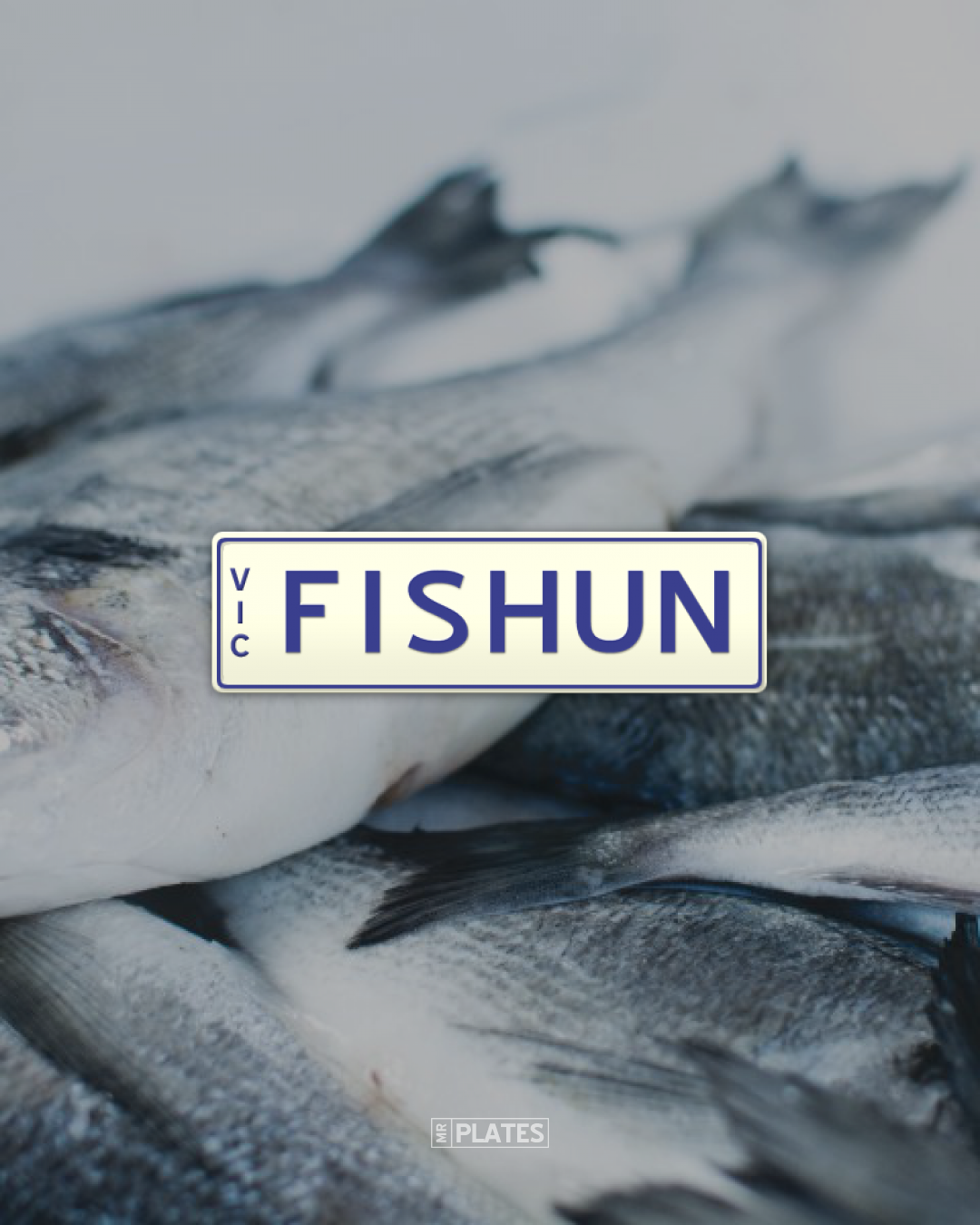 FISHUN (Fishing) Number Plates For Sale, VIC MrPlates