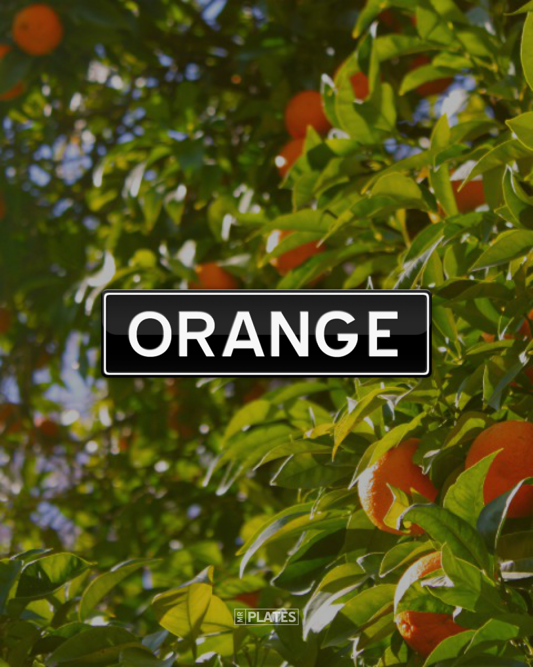 ORANGE Number Plates For Sale, VIC MrPlates