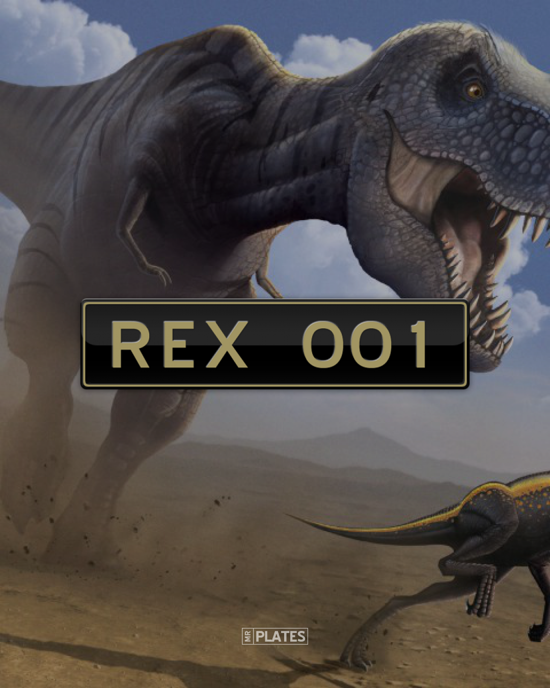 REX 001 (Rex) Number Plates For Sale, QLD MrPlates