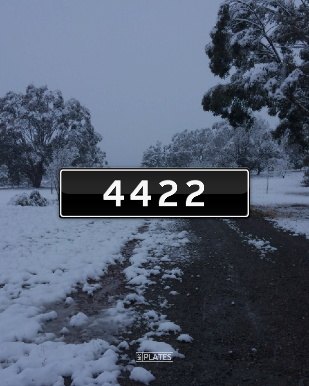 4422 (TWO SETS 4422 & 2244) Number Plates For Sale, ACT - MrPlates