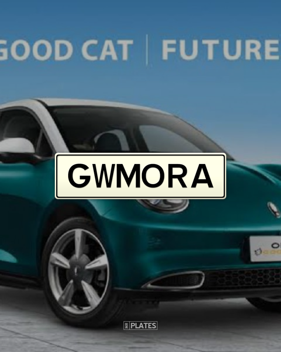gwmora-gwm-ora-personalized-plate-gwmora-number-plates-for-sale